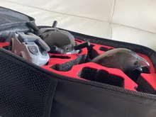 Mochila FPV para Dron DJI Combo FPV, bolsa de hombro para Estuche de transporte al aire libre, accesorios para gafas