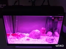 Luz RGB para acuario, lámpara de buceo con control remoto de 18-57cm, colorida, 90-260v, para plantas, pecera, uso con anfibios esenciales