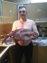 MNFT 50 Uds. De anillos para Señuelos de Pesca divididos de acero, Señuelos de Pesca giratoria, aparejos de división ovalada, anillos para señuelos de 16mm y 21mm