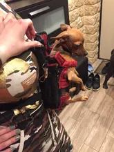 HOOPET Pet Dog Cat Carrier Bag Backpack Carring Bag Products for Dogs Anilmal Transport