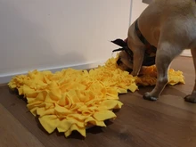 Dog Puzzle Toys Feeder Snuffle-Mat Food-Intelligence-Toy Puppy Slow-Dispensing Training-Games