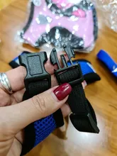 Cat-Harness Leash Mesh Bulldog Cats Small Dog Kitten Chihuahua French Breathable Nylon