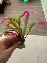 Aquarium-Accessories Decoration Materials Fish-Tank Artificial Green 20cm PVC Plants