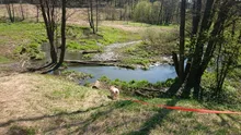 Correa impermeable de PVC para perros pequeños y grandes, correa de adiestramiento para cachorros, seguimiento de adiestramiento, plomo largo, fácil de limpiar, 5m, 10m