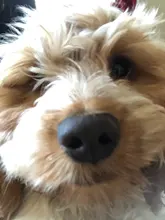 Lote de 20 unidades de anillos de piedra Natural Vintage para mujer, 5-6MM, abalorio de piedra con joyas anillos, Unisex, venta al por mayor