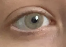 KSSEYE-lentillas de contacto de Color marrón NORDICLIGHT, lentes de contacto con ojos de color