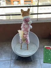 Pijamas de perros para otoño e invierno, Mono para perros pequeños, jerseys Shih Tzu Yorkshire, ropa de lana suave para cachorros y gatos