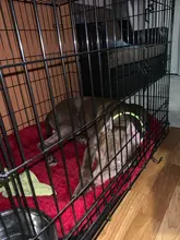 Dog-Beds Cage Lounger Pet-House-Cushion Dogs-Mat Bench-Medium Golden Retriever Large