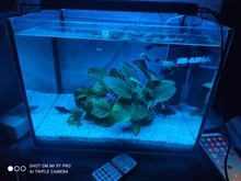 Led-Lighting-Lamp Dimmer Timer Fish-Tank-Light Aquarium Planted NICREW for 32-74cm 110V-240V