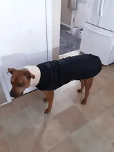 Jacket Clothing Coat Greyhound Waterproof Dog Dogs Large Super-Warm Medium Thick 