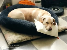 Saco de dormir en invierno para mascotas, caseta de lecho de gatos y perros supersuave, saco de dormir largo y afelpado para cachorros, esterilla portátil, tamaño de 46/50/60cm