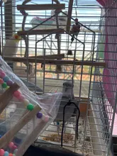 Parrot Ladder Toys Perch-Stand-Holder Bird-Cage Climbing-Stairs Hamsters Rocking-Scratcher