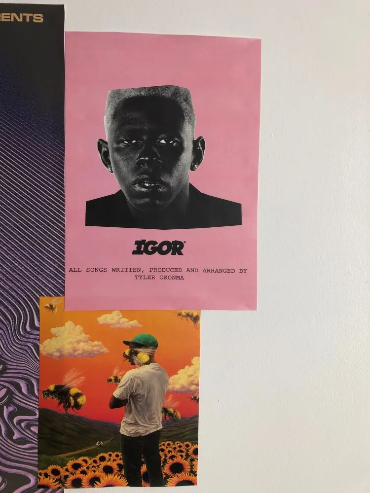 Rapper Star Tyler The Creator Flower Boy Music Poster Canvas