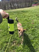 Pocket-Pouch Poop-Bag-Dispenser Treat-Bag Dummy Truelove-Feed Dog Training Dog-Toys Reflective