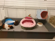 Hámster para mascotas gato conejo esquina baño basura bandejas limpio interior entrenamiento para caja de arena para mascotas bandeja para Animal PEQUEÑO mascotas