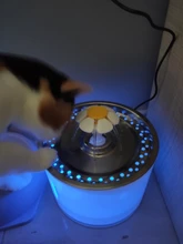 Drink-Bowl Dispenser Active Water-Fountain Cats Automatic CARBON-FILTER Dog Electric