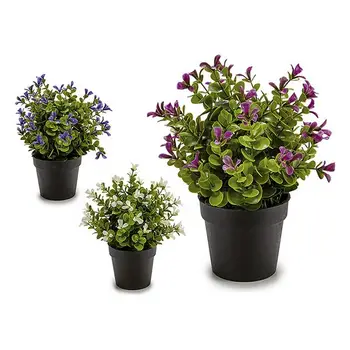 

Decorative Plant Ibergarden (18 x 23 x 18 cm)