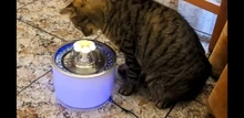 Drinking-Bowl Auto-Feeder Water-Dispenser Water-Fountain Cat Automatic Dog Pet-Usb Super-Quiet