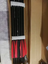 Bolts Spine Crossbow Carbon-Arrow Bow Archery Hunting Recurve/composite 16/20-Inches