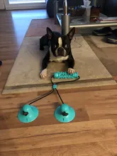 TPR Pet Dog Toy Toothbrush Chew Toy For Dogs Small Large Puppy Toys Sucker Toys Teething