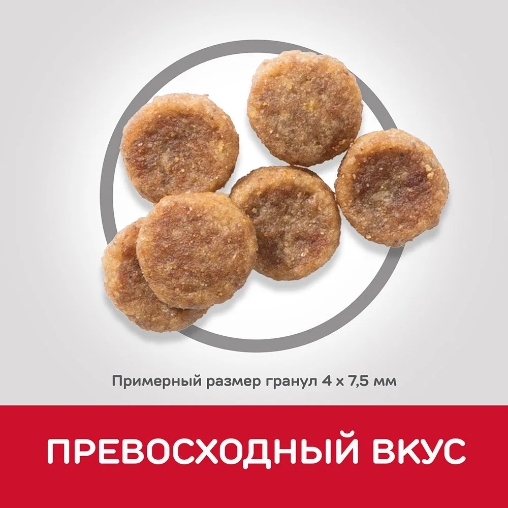 Hill's Science Plan Small& Miniature сухой корм для собак мелких и миниатюрных пород с курицей 6,5 кг