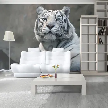 

Wall mural-Tiger Bengal at the zoo - 350x270 cm