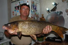 Fishing-Line Multifilament Braided Carp PULLINE 10lb-100lb 4-Strands 1000M Cord-Pesca