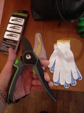 DTBD-tijeras de podar para jardinería, tijeras de acero inoxidable para Injerto de ramas de frutas y flores, herramientas de corte para el hogar