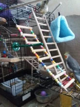 Escaleras de loros para pájaros y mascotas, juguete de escalada, bolas de colores colgantes con cable de madera Natural, cuerda para hámster, loro, mordedura, arnés jaula