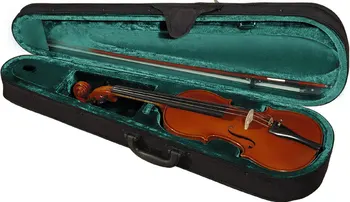 

HSAC student case for Alta 16-16,5 "triangular Hora