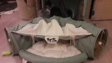 Túnel para cama de gato, tubo extraíble plegable para mascotas, juguetes interactivos con bolas de felpa para cachorros