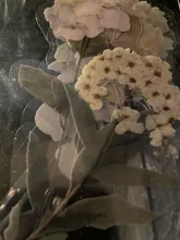 Mohamm-pegatinas de la serie Casa de flores, papel de álbum de recortes, suministros escolares creativos, estilo Ins, n. ° 7, 10 Uds.