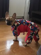 Coat Jacket Puppy Pet-Dog French Bulldog Small Dogs Waterproof Winter Super Cotton 