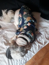 Camisetas de verano para perros, ropa de playa, chaleco para mascotas, camiseta Floral, Hawaiana para gatos pequeños y grandes, Chihuahua