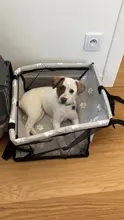 Bolsa de seguridad para perros, para el asiento del coche, impermeable, plegable, para transporte con seguridad de gatos y perros pequeños