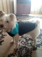 Coat Jacket Puppy-Vest Dogs Waterproof Winter Medium Pet-Dog Zipper Small Large Warm