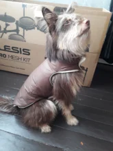 Ropa de invierno cálida para perros, chaleco reflectante para cachorros, chaqueta polar cómoda para mascotas, abrigo para perros pequeños, medianos y grandes, 2020