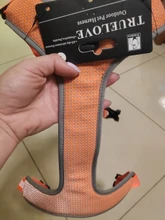 Pet-Harness Truelove Walk Padded Seat-Belt Handle Reflective-Dog Adjustable Small Soft