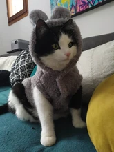 Ropa de Gato caliente para mascotas, abrigo, chaqueta para perros pequeños, medianos, gatos, Chihuahua, ropa de Yorkshire, disfraz rosa, S-2XL