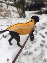 MySudui Medium Big Dog Winter Clothes For Dogs Pets Clothing Reflective Dog Jackets Outdoor