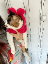 Ropa de Gato caliente para mascotas, abrigo, chaqueta para perros pequeños, medianos, gatos, Chihuahua, ropa de Yorkshire, disfraz rosa, S-2XL
