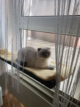 Bearing Hammock Cat Balcony Climbing Waterproof Sleeping-Mattress Cat-Bed-Cat Pet Fabric