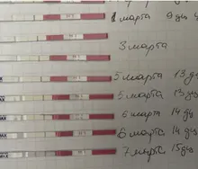 20 piezas LH-tiras de prueba de ovulación, tiras de prueba con más del 99% de precisión de primera respuesta, prueba de ovulación en orina