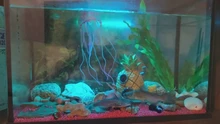 Luz RGB para acuario, lámpara de buceo con control remoto de 18-57cm, colorida, 90-260v, para plantas, pecera, uso con anfibios esenciales