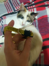 Cat-Collar Nylon-Strap Bell Puppy Adjustable Small Cute with Frosted ABS Pet-Cat SUPREPET