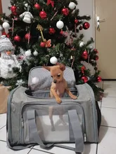 Dog-Carrier-Bag Travel-Bags Dog-Backpack Transport Soft-Side Airline-Approved Cats Small