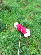 Jacket Clothing Puppy-Coat Dog-Face Dogs Reflective Waterproof Winter Apparel Small Medium