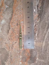 Fishing Lures Tackle-Polaris Predator Artificial-Bait Supercontinent Soft Pesca Cheap