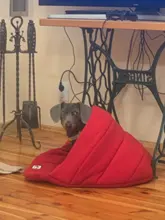 Dog-Bed House Products Pets-Cushion Slippers-Style Winter Cat Soft for High-Quality Pet-Dog