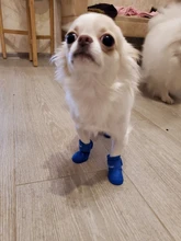 4pcs Pet Dog Shoes Waterproof Rain Pet Shoes for Dog Puppy Rubber Boots Candy Color Puppy